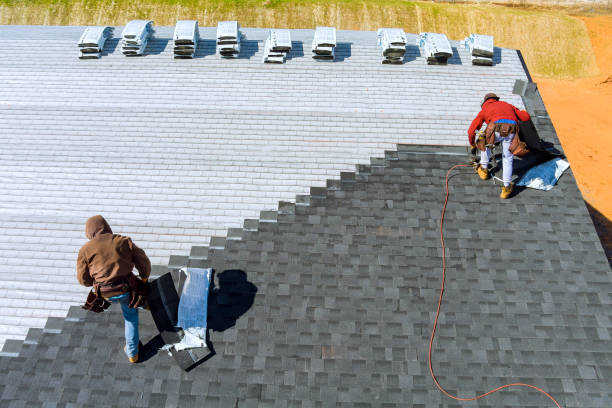 Best Roof Gutter Cleaning  in Paris, TN