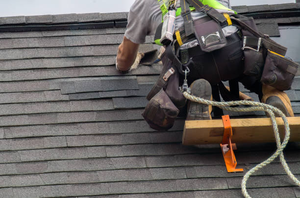 Best Flat Roof Repair Services  in Paris, TN