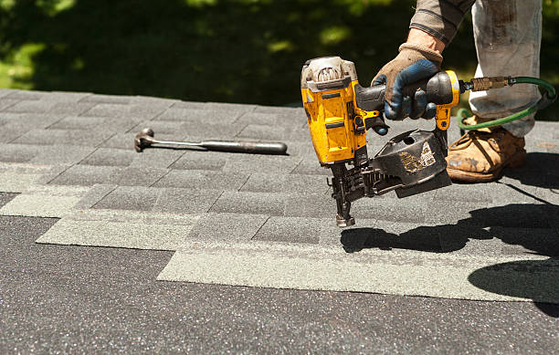 Roof Waterproofing Services in Paris, TN