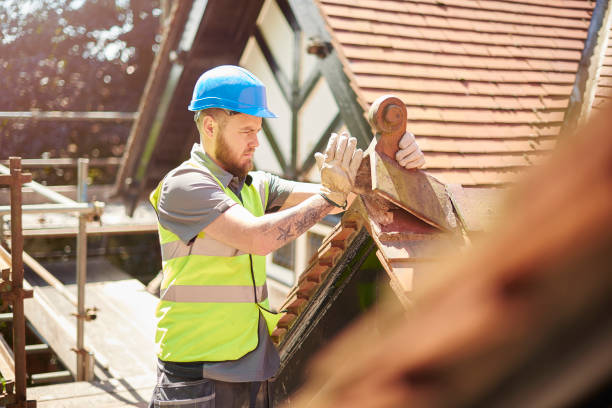 Best Emergency Roof Repair  in Paris, TN