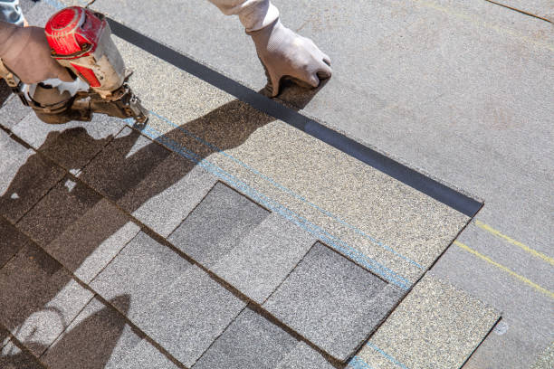 Best Roof Waterproofing Services  in Paris, TN