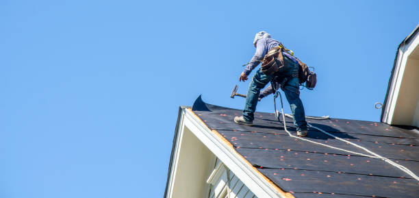 Best Storm Damage Roof Repair  in Paris, TN